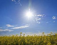 Nice sunny days can grow into heat waves