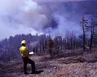 Fires in US state of Washington largest in its history