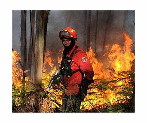 Portugal tackles last of deadly northern forest fires
