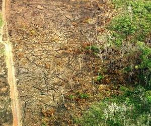 First Forecast Calls for Mild Amazon Fire Season in 2012