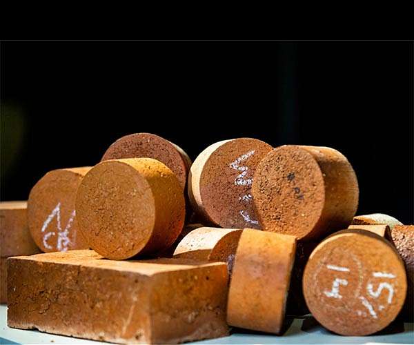 Living bricks can generate energy in the home and wean humanity off fossil fuels