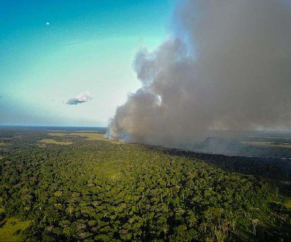 Greenpeace urges oil majors to shun DR Congo rainforest auction
