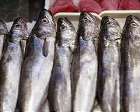 Fish catch break on world stage at global conference