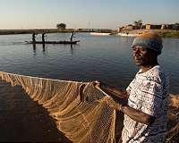 Study offers new approach to evaluating agricultural development programs