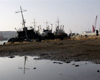 A Fishing Port With No Fish On Wild Russian Island