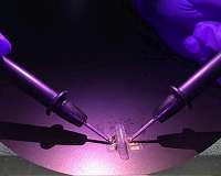 For wearable electronic devices, NIST shows plastic holes are golden