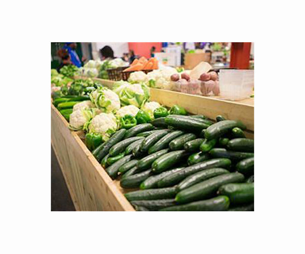 Canadian university identifies low carbon foods for student meals