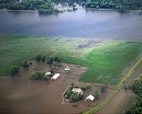 Scientists to help grains besides rice survive flooding