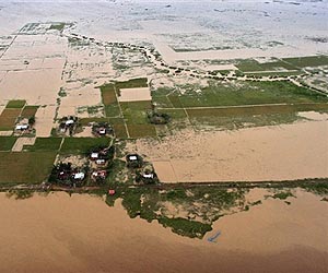 Storms cut Philippine rice production in 2009: govt