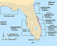 Trump admin sued over stalling to protect sea turtles