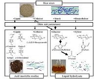 Elucidation of chemical ingredients in rice straw