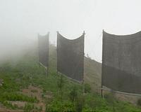 In Chile, world's driest desert slakes thirst with fog