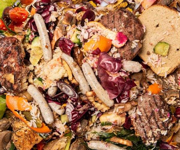 Halving food waste can reduce hunger for 153 mn people: report