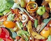 British food waste collections debated