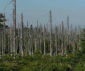 China wrestles with acid rain threat