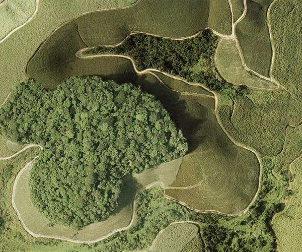Brazil moves closer to curbing Indigenous land claims in constitution
