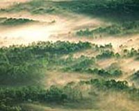 Urgent Need For New Computer Models To Address Climate Change
