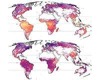 Complete world map of tree diversity