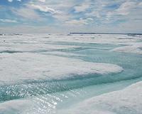 Formation of coastal sea ice in North Pacific drives ocean circulation