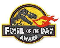 Fun with fossils