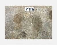Research sheds new light on high-altitude settlement in Tibet