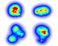 Scientists model the 'flicker' of gluons in subatomic smashups