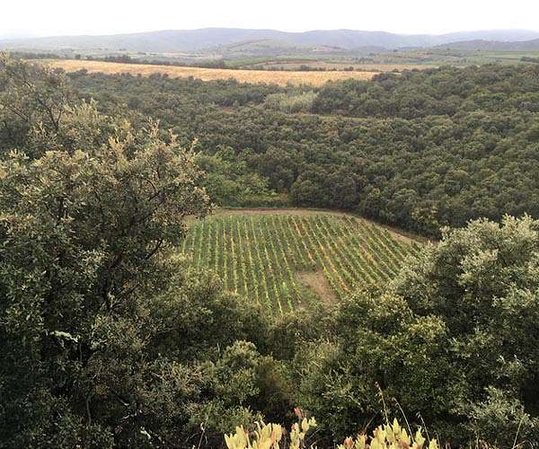 Meteorite crater discovered in French winery