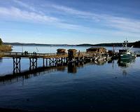 Naturally acidic waters of Puget Sound surround UW's Friday Harbor Labs