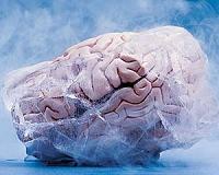 Scientists find link between brain shape and personality