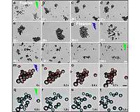 Active particles with light-switchable propulsion direction and reversible interactions