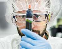 Living electrodes with bacteria and organic electronics