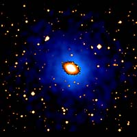Concentrated Dark Matter At The Cores Of Fossil Galaxies
