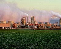 Renewable Industry Association Asks Congress To Direct DOE To Follow New Law