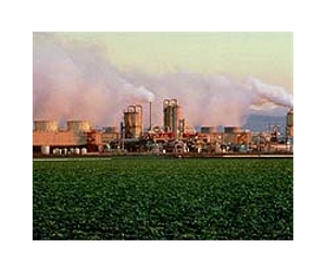 Geothermal's Golden Year