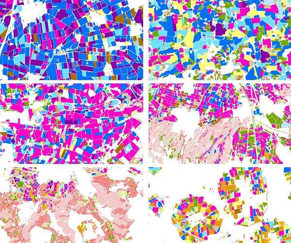 These crops dominate Germany's agricultural landscape