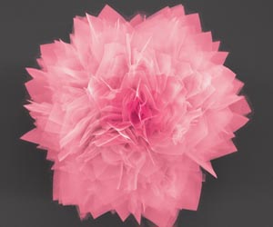 Researchers Create 'Nanoflowers' for Energy Storage, Solar Cells