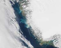 Greenland's summer ocean bloom likely fueled by iron