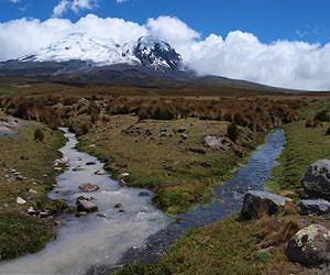Impact of warming climate doesn't always translate to streamflow