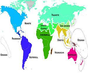 Century-old Wallace map of natural world updated