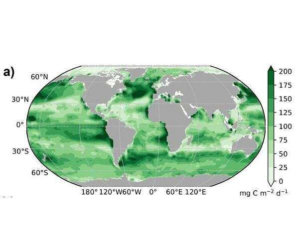 Plankton's Vital Role in Carbon Sequestration Unveiled