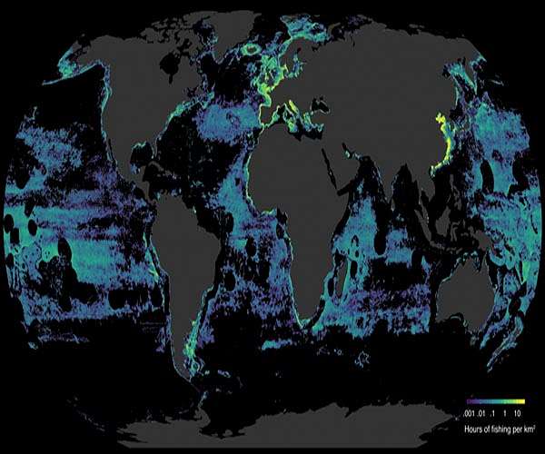 Ban high-seas fishing, mining 'forever': experts