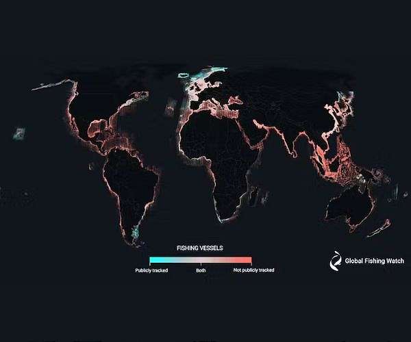 We tracked illegal fishing in marine protected areas - satellites and AI show most bans are respected, and could help enforce future ones