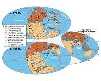 What drives plate tectonics?