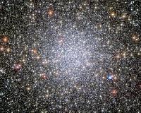 Hubble traces the migration of white dwarfs in cluster 47 Tucanae