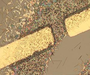 Global gold demand falls in 2012: WGC report