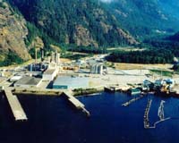 Green Island Energy Partners With Covanta To Develop The Gold River Power Project