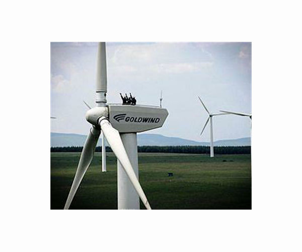 Chinese energy giant Goldwind posts annual growth as overseas drive deepens