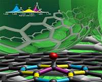Chemically tailored graphene