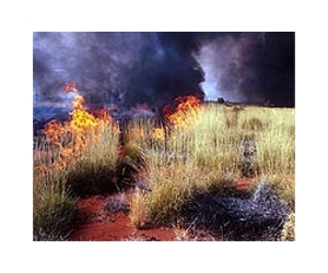 As Australia bushfires rage, warning of more heatwaves