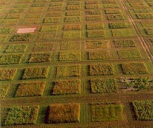Estimates reduce amount of additional land available for biofuel production